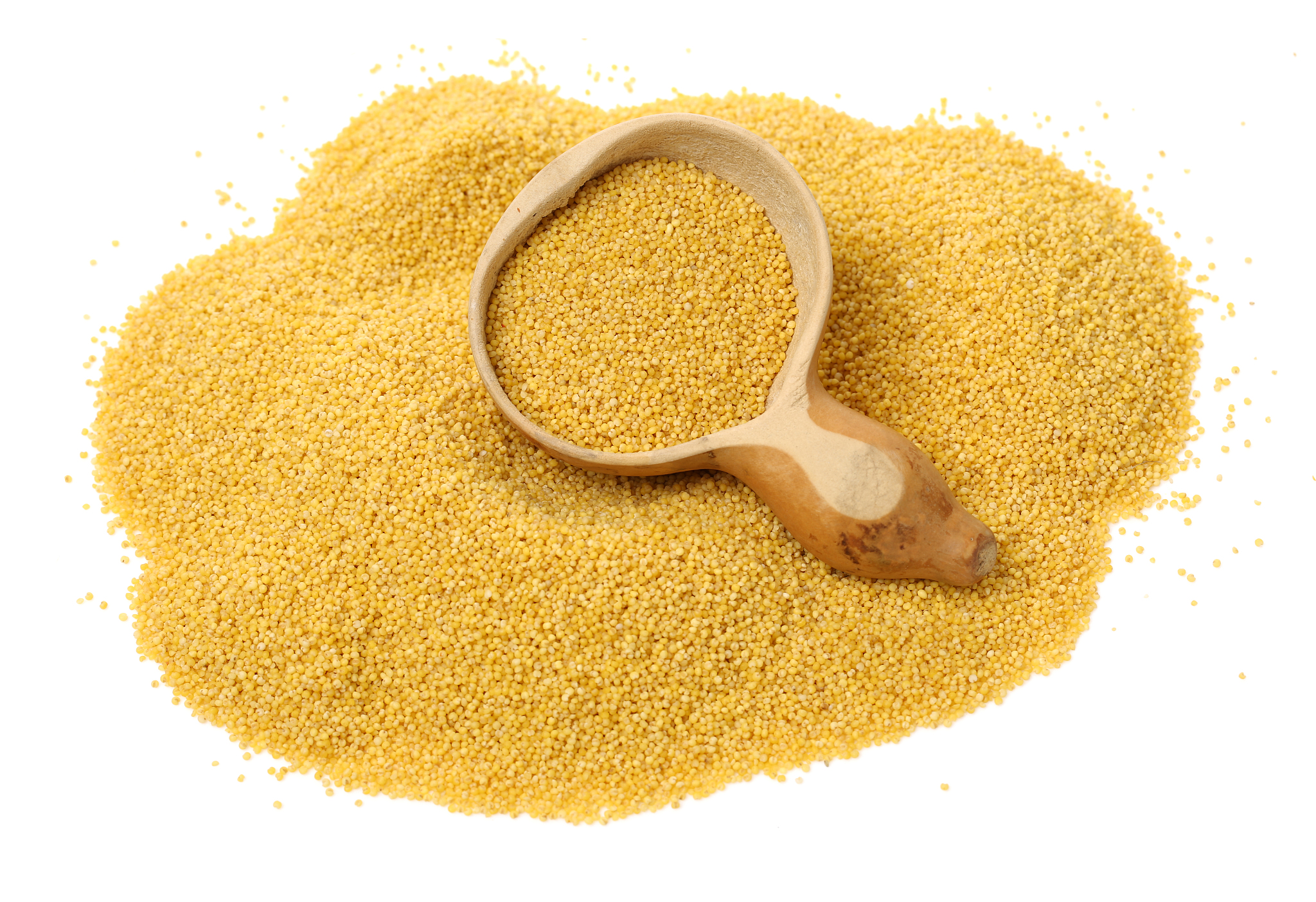 raw uncooked millet in bowl    isolated on white background