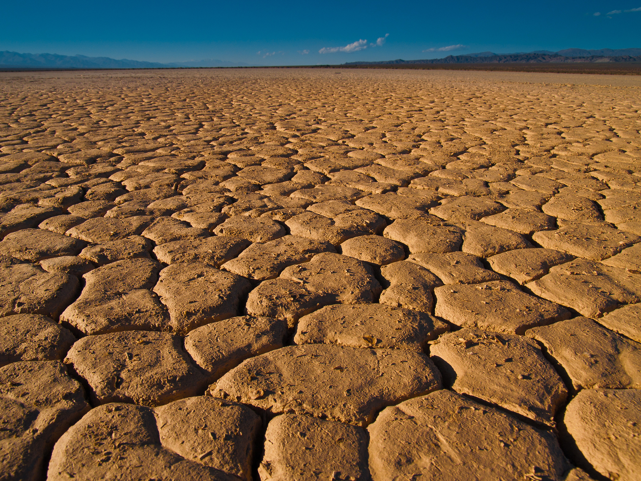 采用不同词语写这段话，分布在世界各大洲干旱地区,主要集中在欧亚大陆、非洲和美洲西部。我国盐渍土