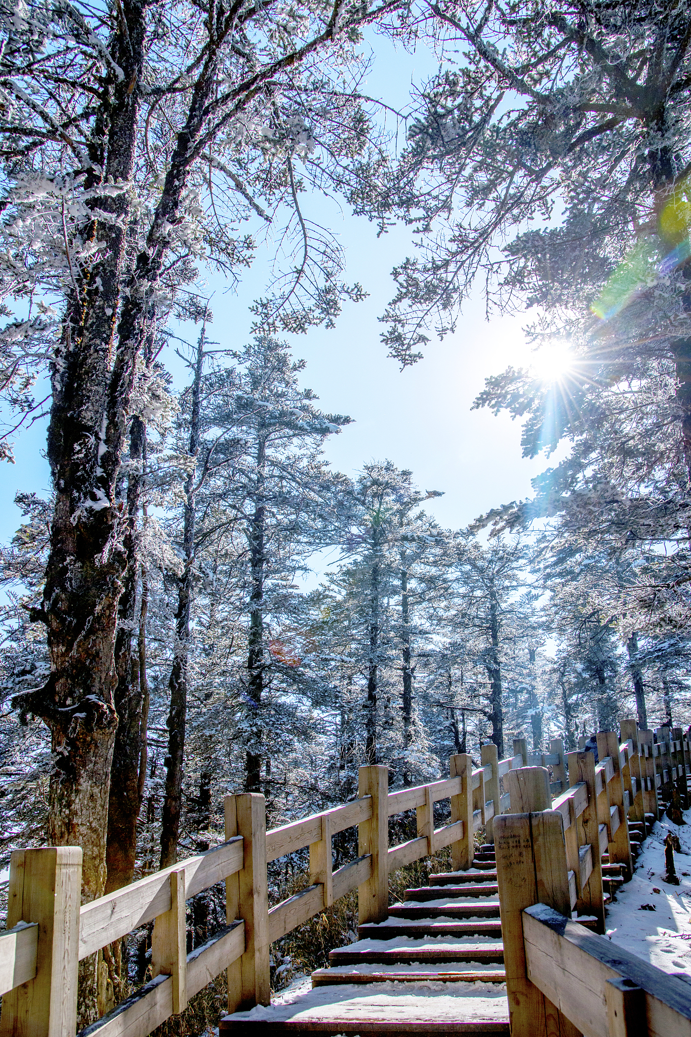 大邑县职业高级中学地址及乘车路线 - 交通指南