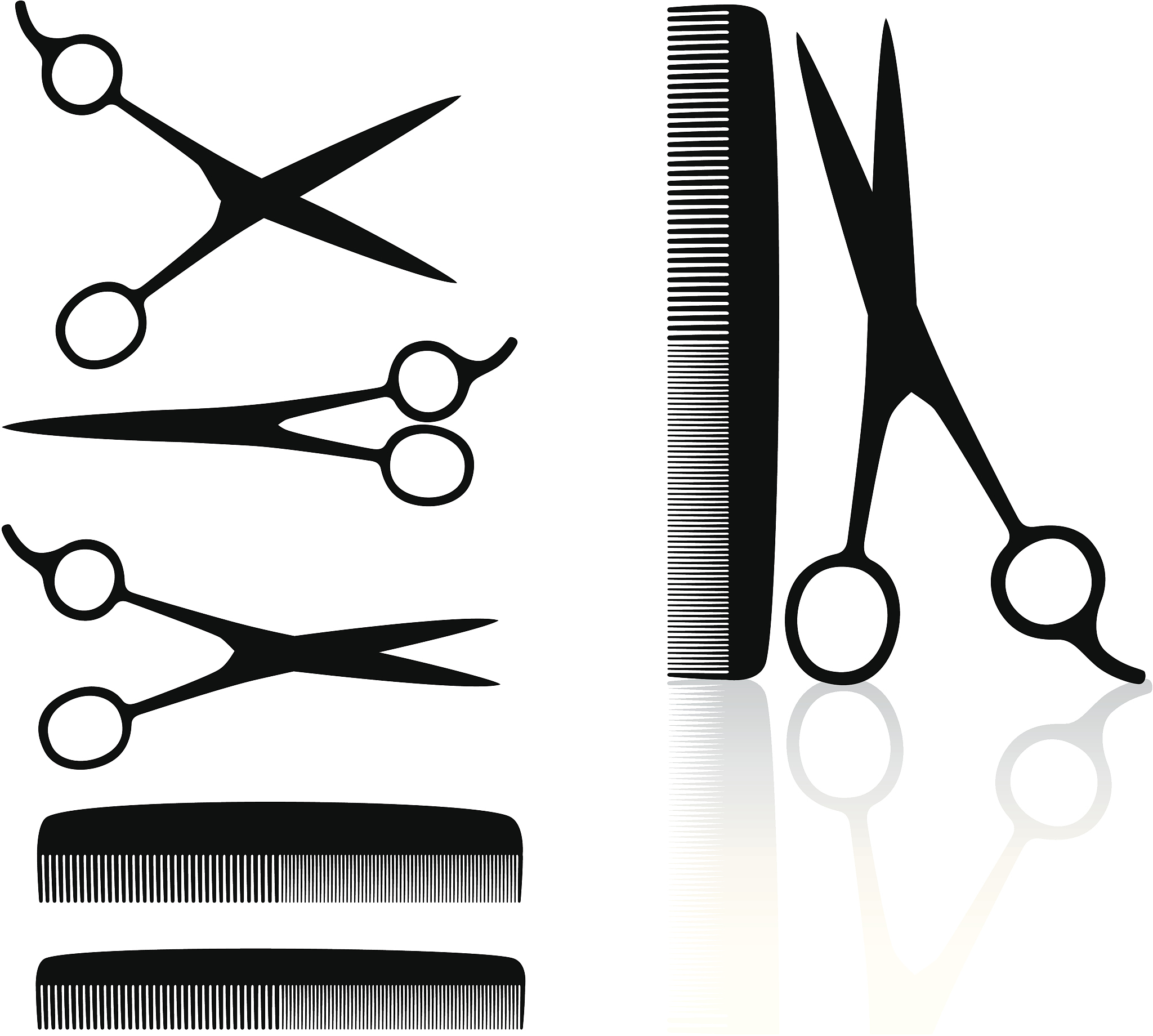 2022中阳县职业中学校招生专业有哪些