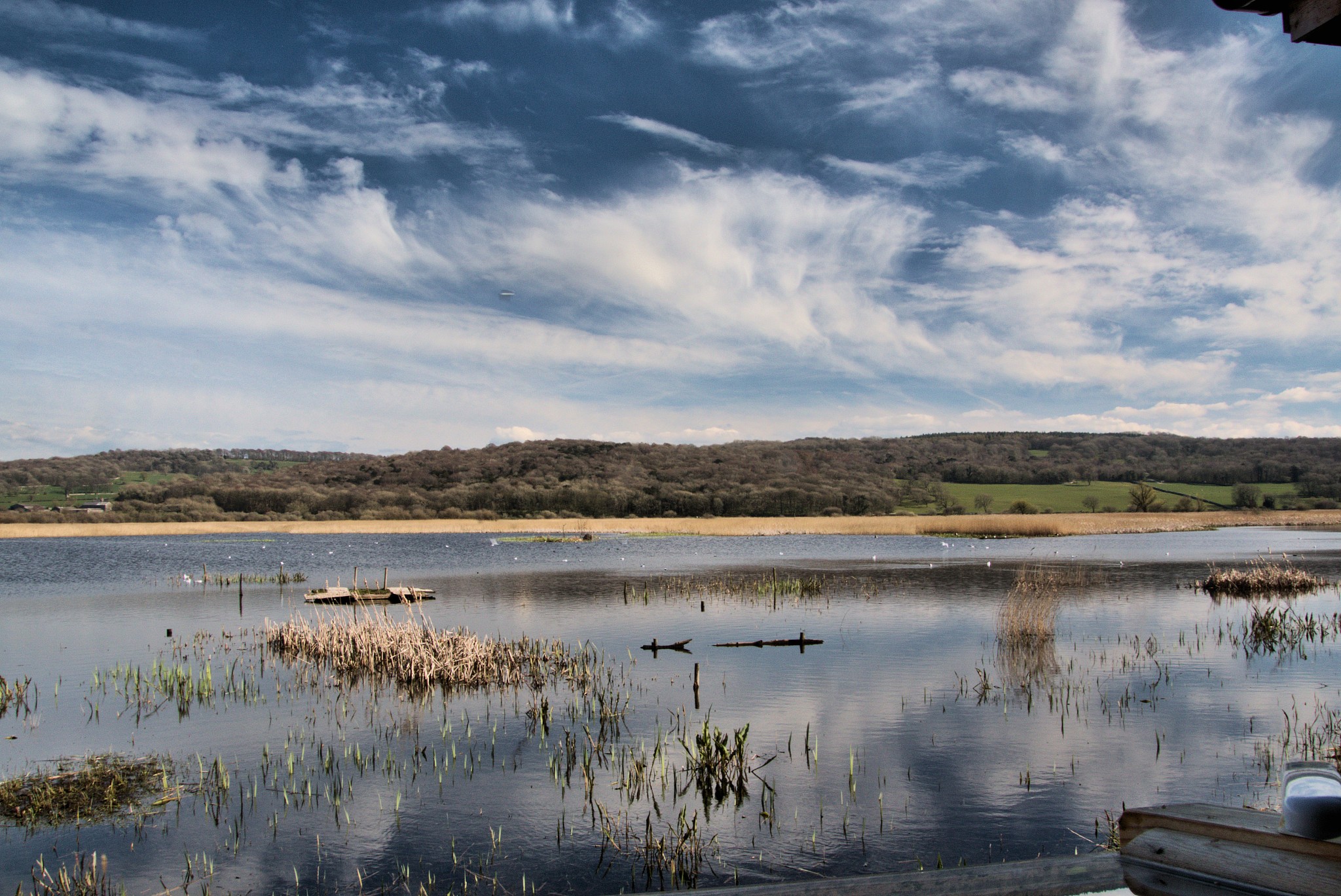 a picture of leighton moss nature reserve