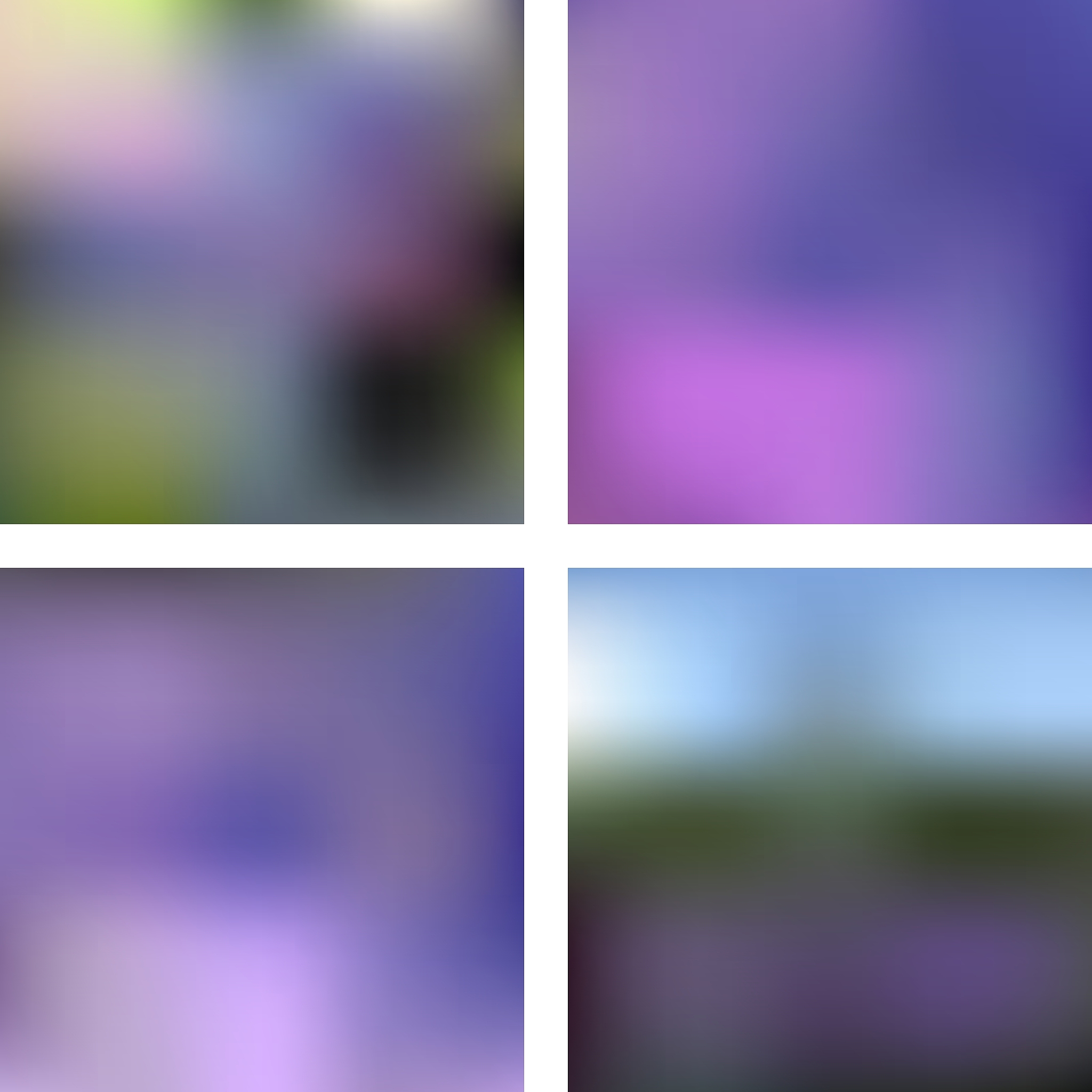 WebCat - 在线图片模糊效果调节器