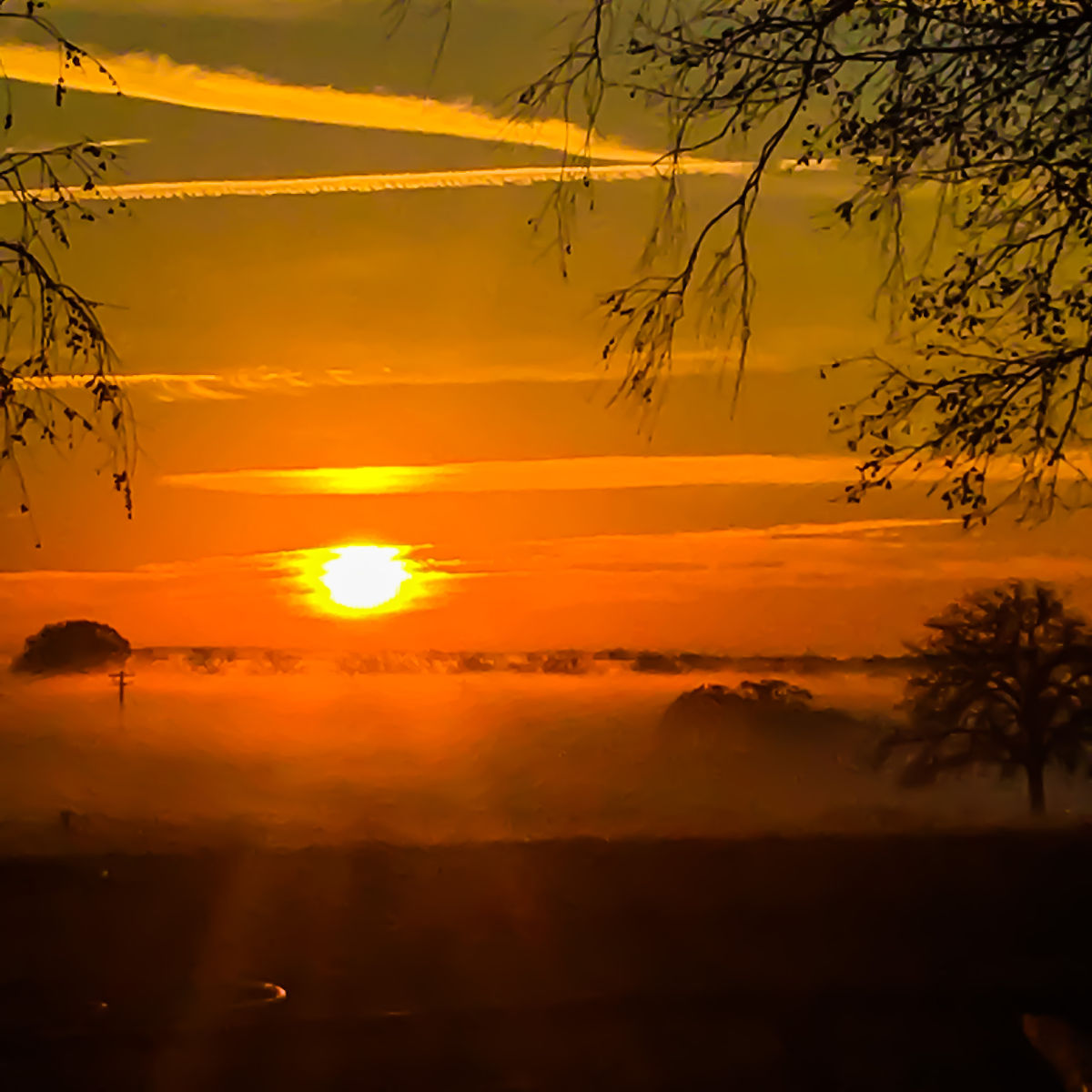 一句话概括《诗经·彼阳》描绘了太阳升起和落下的景象阳光洒在红色的雾气中天空碧蓝如绸缎石头和溪水闪耀着光芒夕阳下人们在美好的梦境中自由自在地游泳沐浴如同野鸡翱翔于空中。