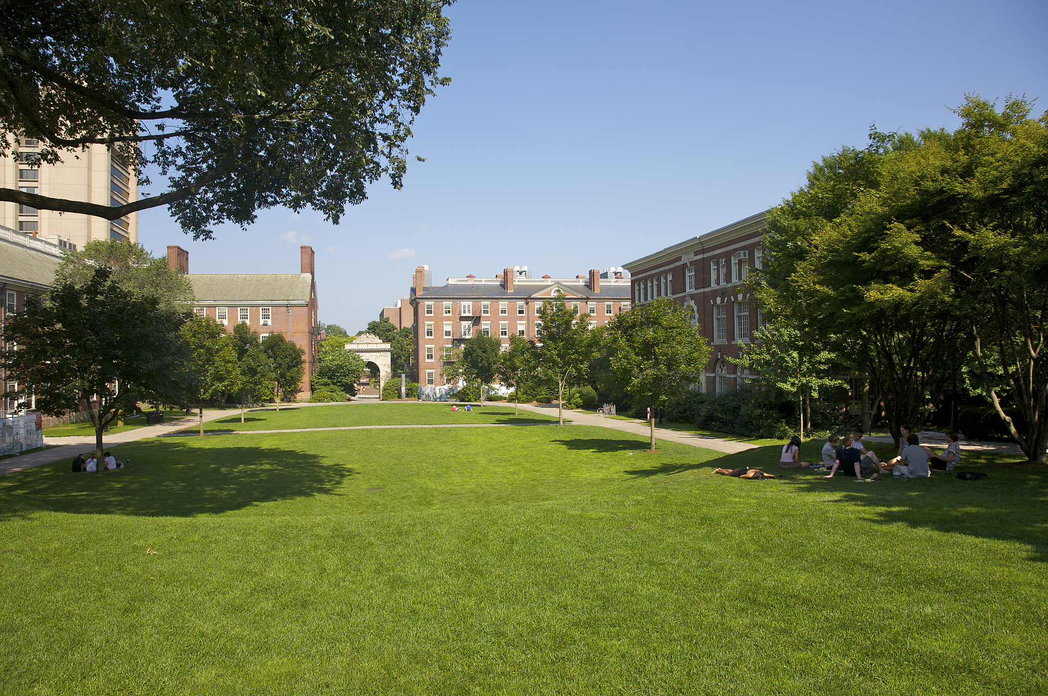 students relaxing on grass on campus of brown university, provid