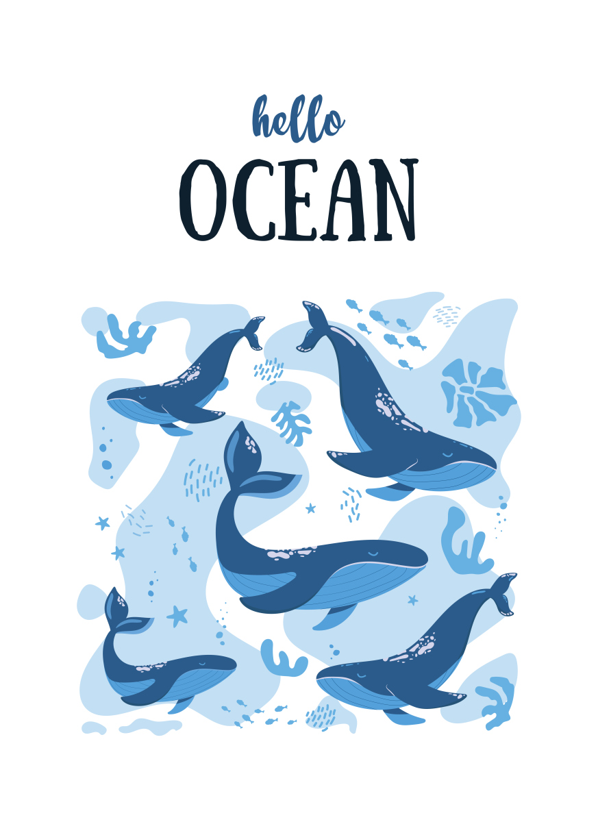 My Favorite Animal: The Dolphin (Excluding Dogs and Elephants)