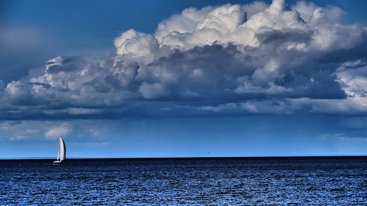 《寂静之旅》: 一部令人沉思的静谧之作