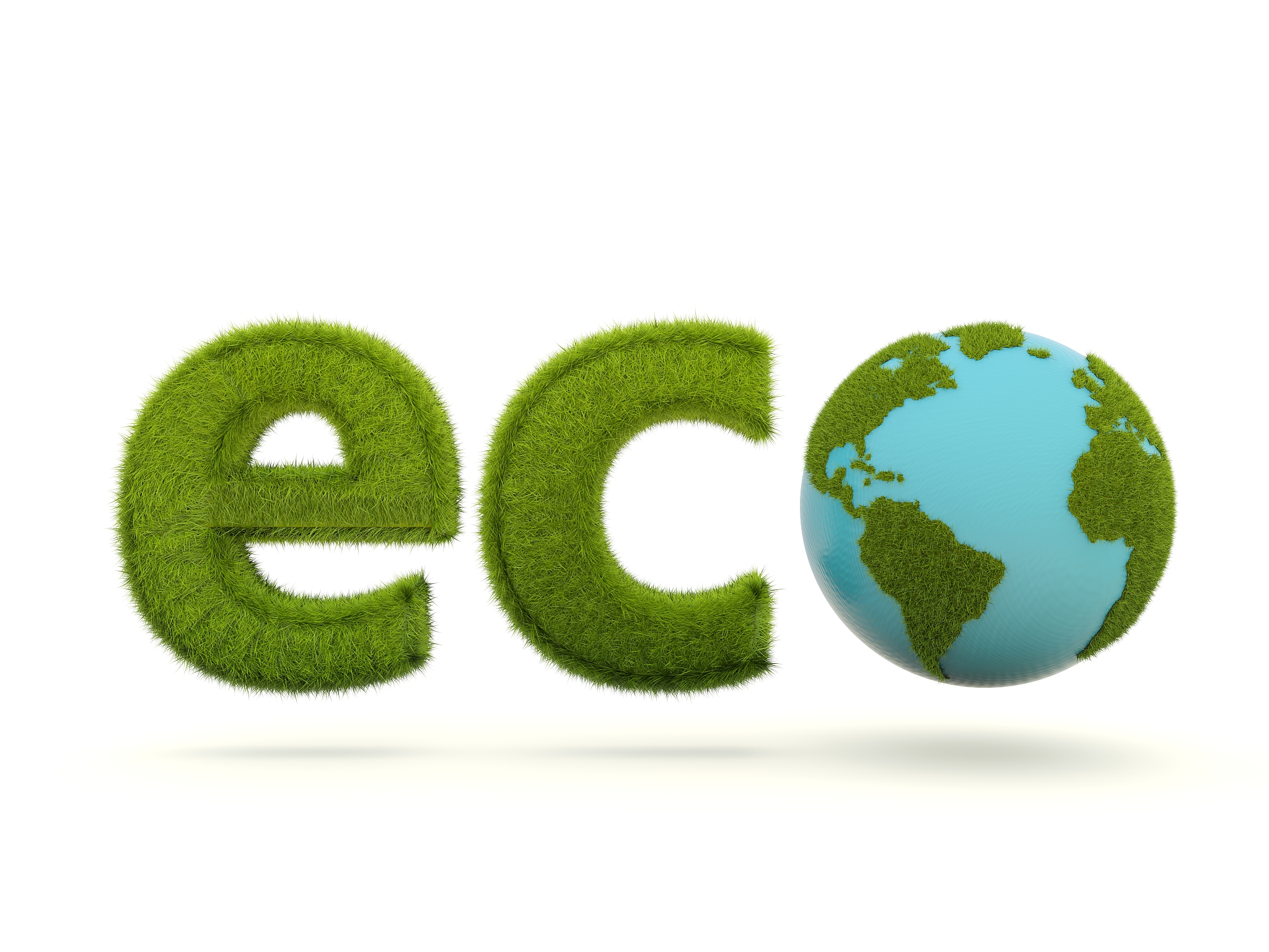 eco sign with earth