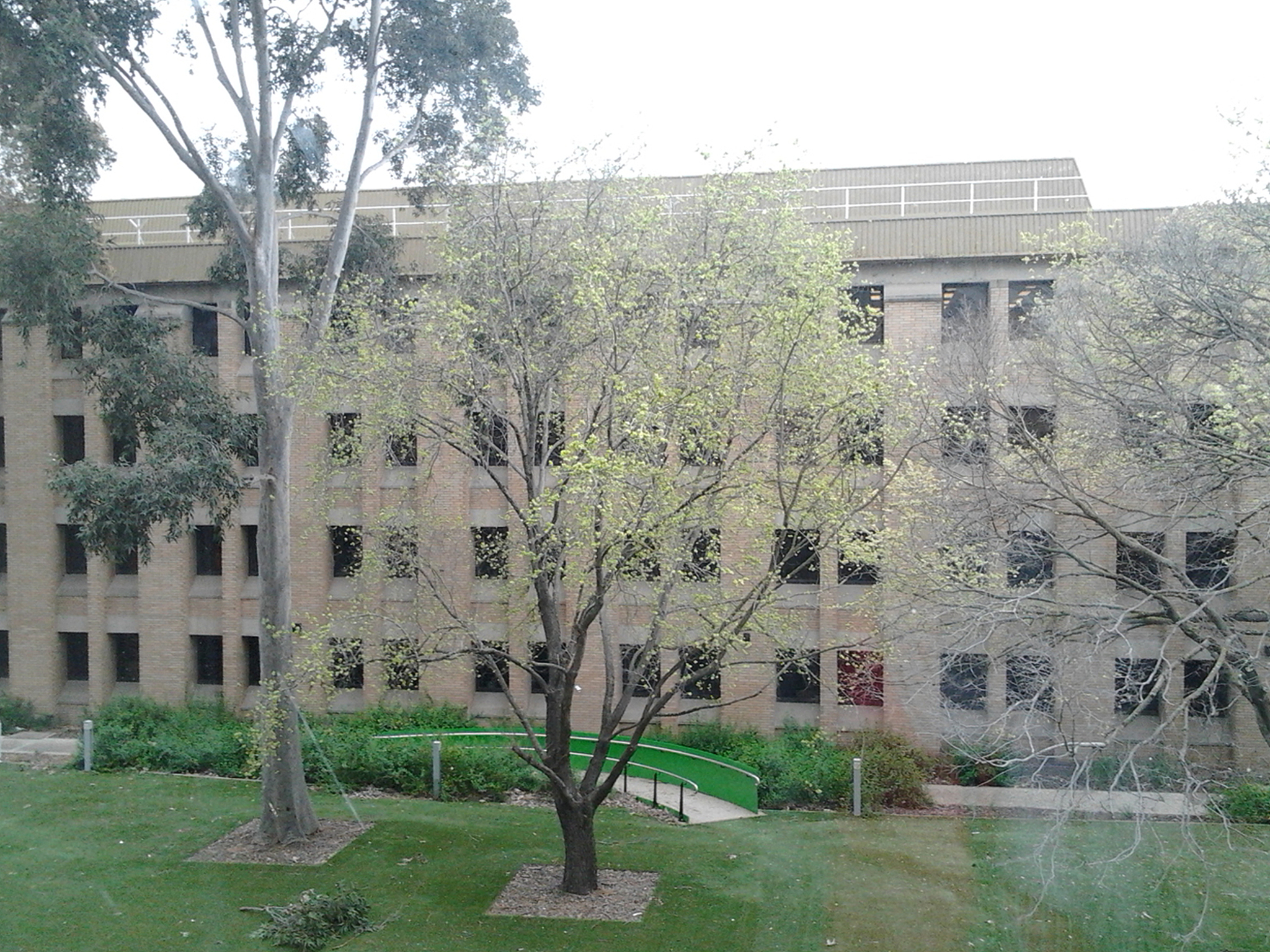 黑龙江农垦职业学院建筑经济管理专业专业课程设置有哪些