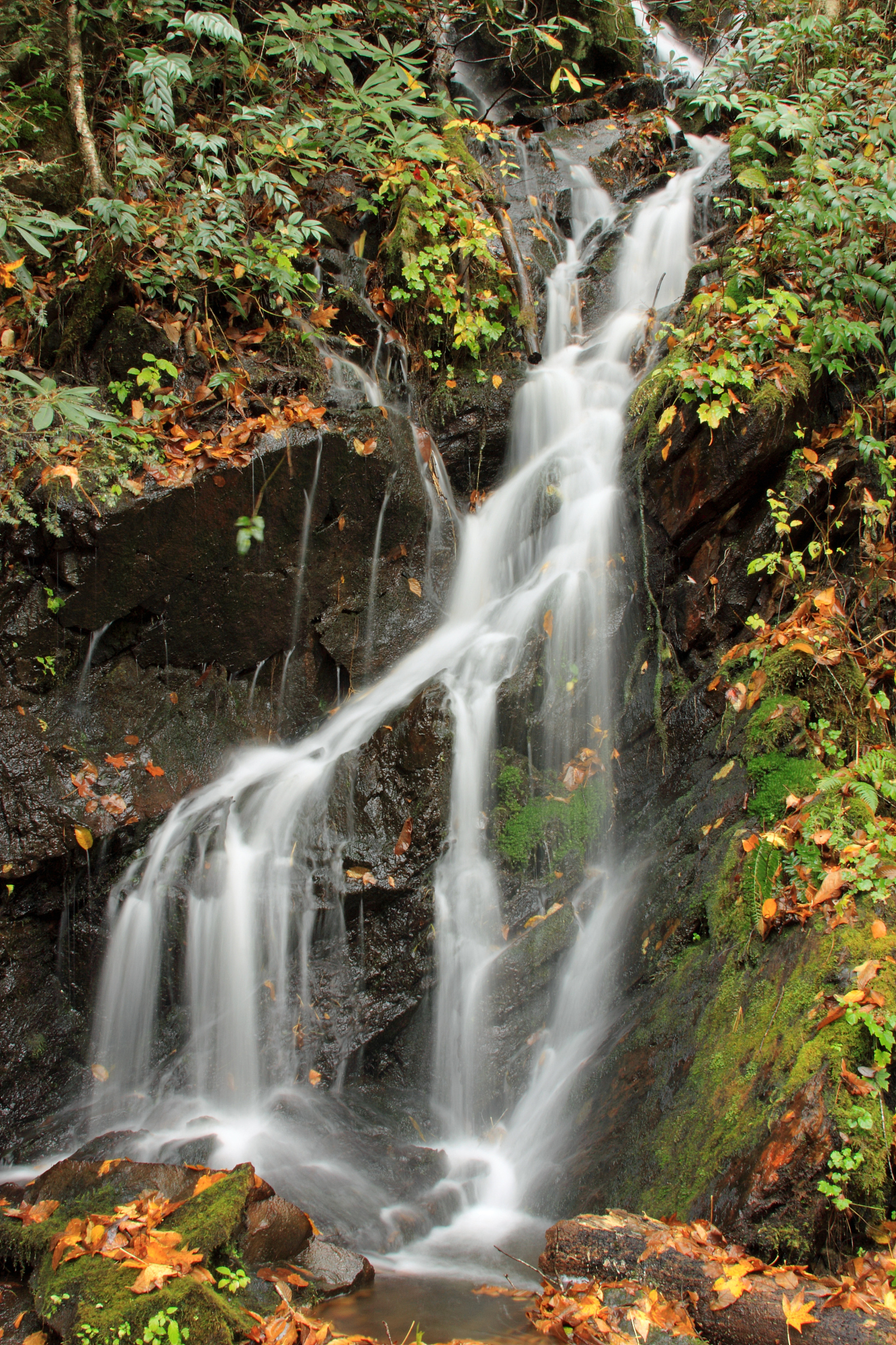 上饶职业技术学院旅游管理专业怎么样