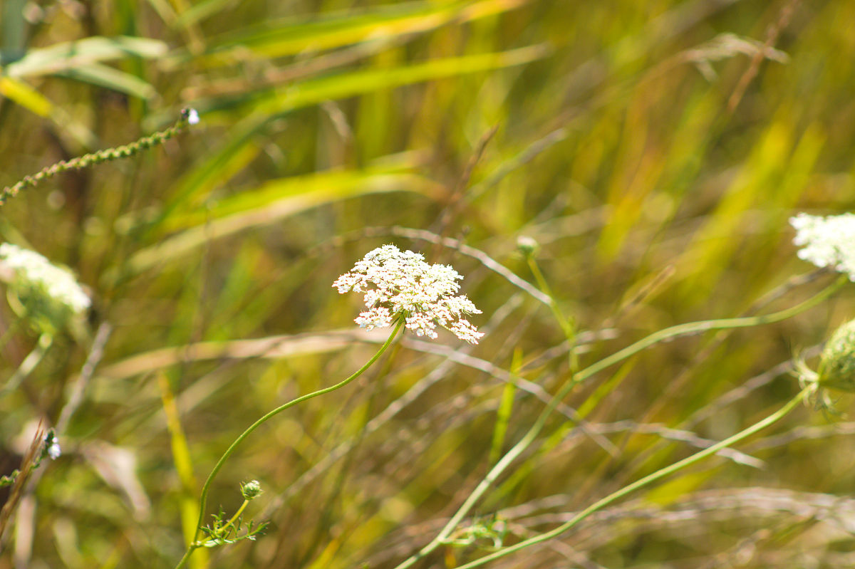 2023年报读工程造价专业如何