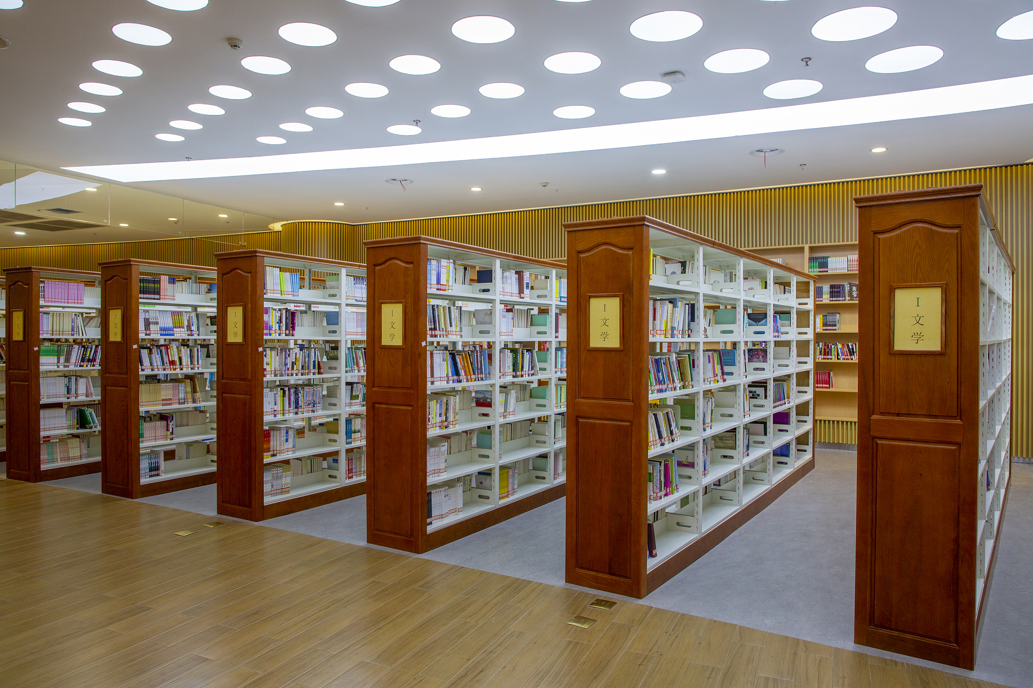 国外传统图书租赁发展现状：红十字会图书馆、公共图书馆、私人图书馆和书店