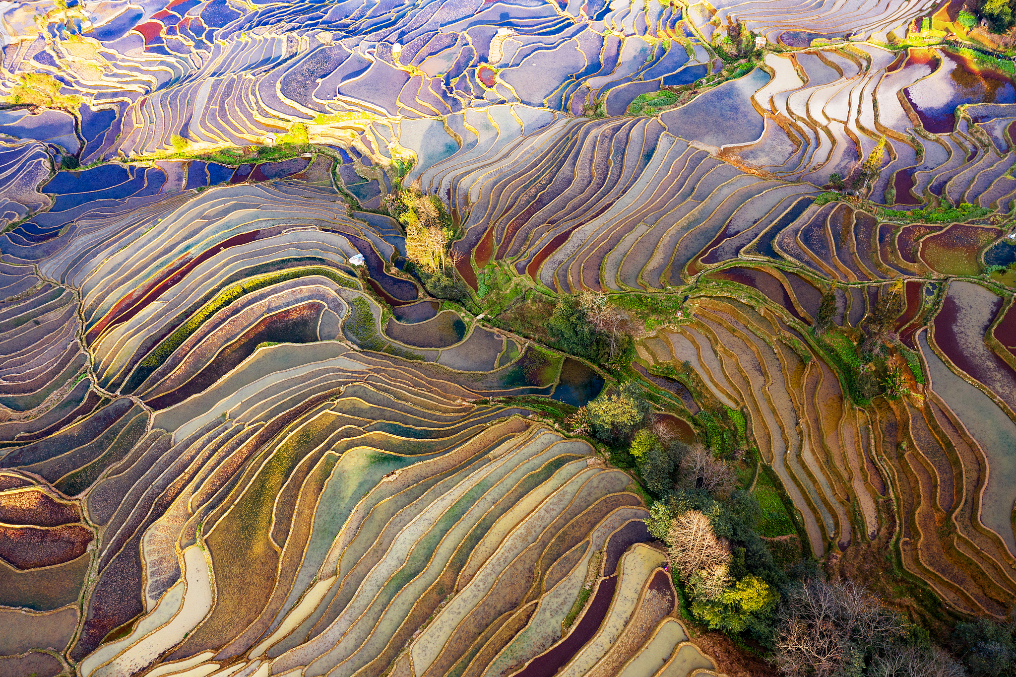 云南文山农业学校2022年有哪些专业