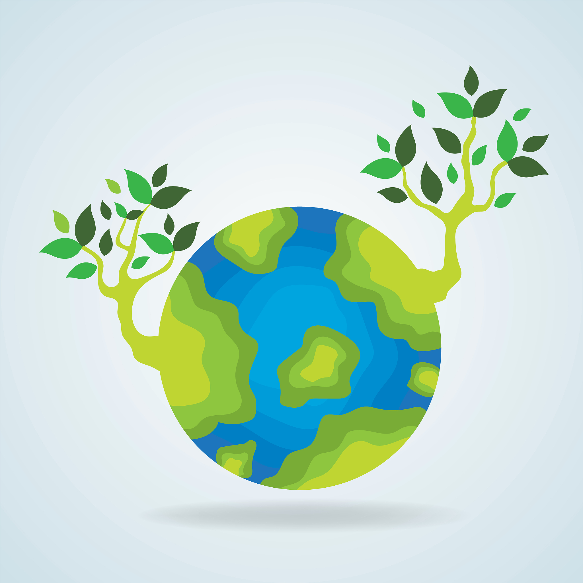 自然联结与亲环境行为呈显著正相关有什么实践意义