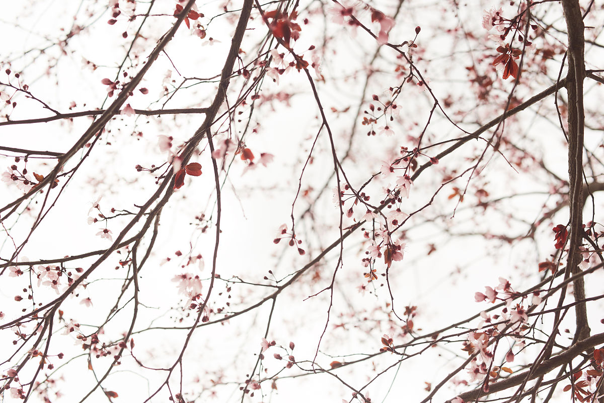 广东省外向型企业发展战略选择实训实操报告