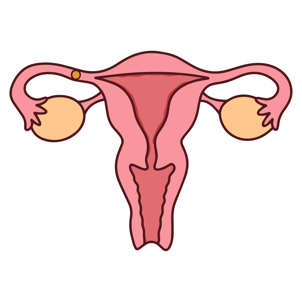 每天月经量多少才正常？