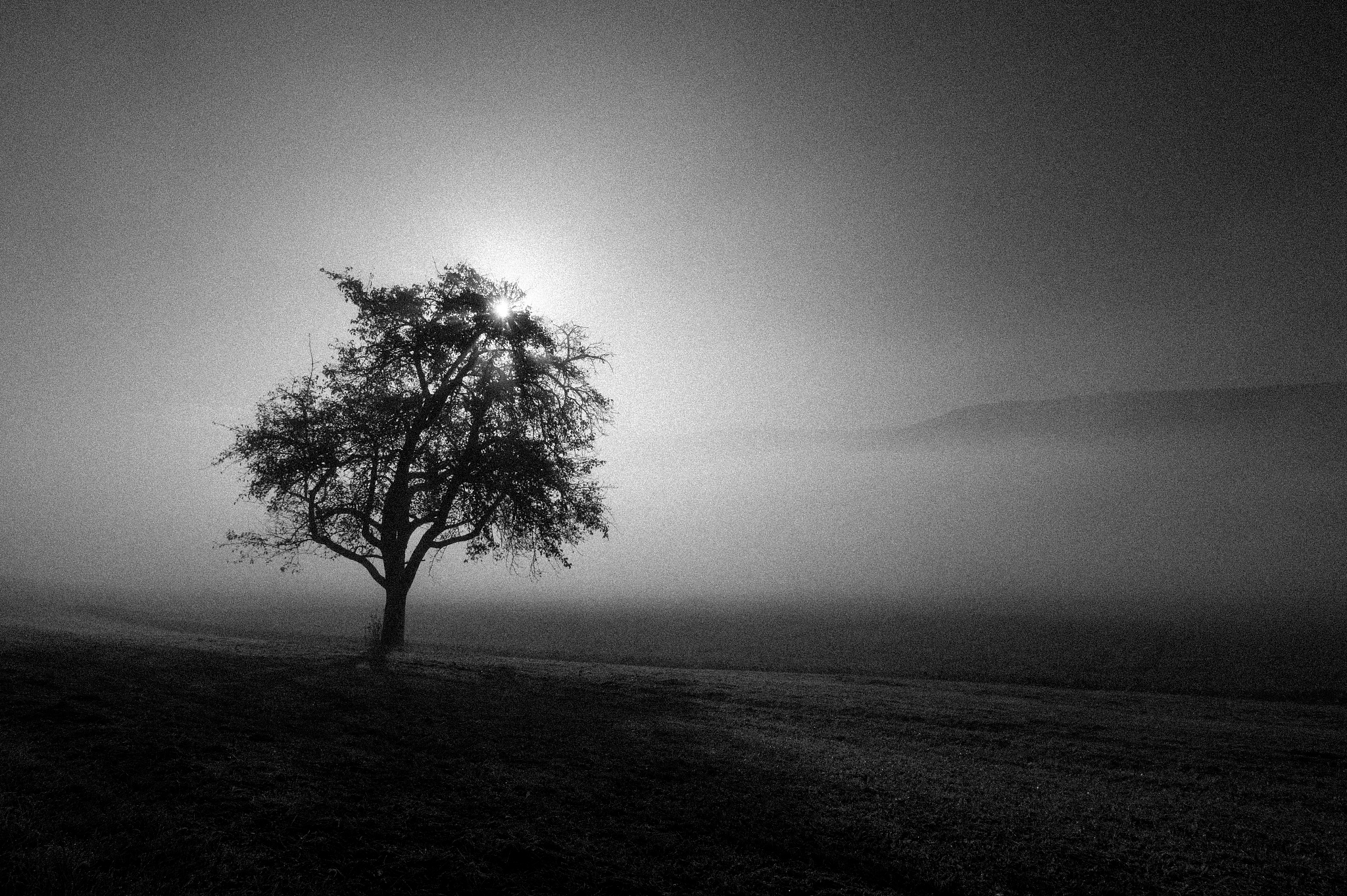 悲观主题：在黑暗中寻找希望的歌