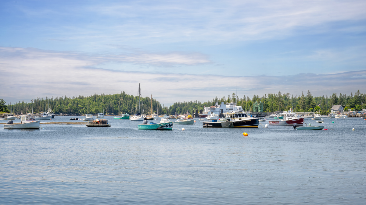 你是一名文学爱好者请用英语翻译一下这一段话尽量用文学性较强的单词使用简洁的句式。我朗读了苏东坡夜泛西湖的五首绝句意境凄凉黯淡想起南宋以前湖面还很萧条惋惜赤壁的箫声没有在这里会集。但是今晚的出游我并不是要效仿苏东坡。只是湖山遭遇少数人的游玩往往相似罢了。怎么知道百年之后没有人效仿我呢？怎么能责怪我效仿苏东坡呢？天明后回到城里陈家的两个书生催促我赶紧记下来这件事。