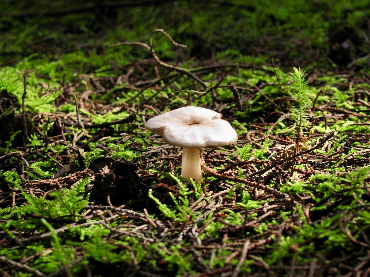 江苏2023年初中生读卫校怎么样-怎么样