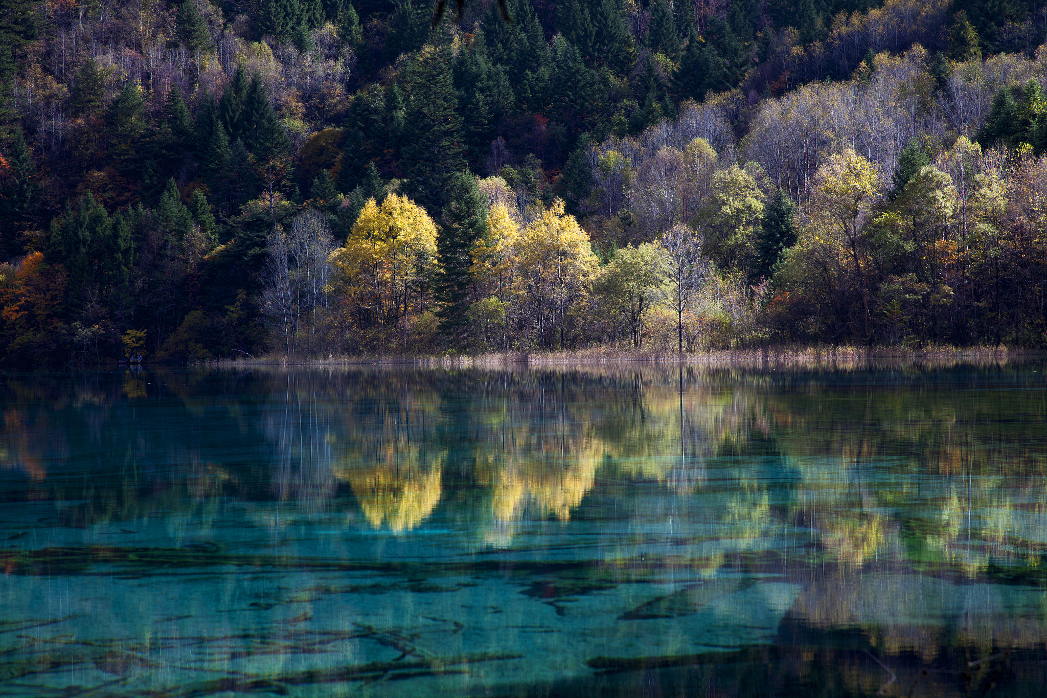 请以100字描述九寨沟的海子
