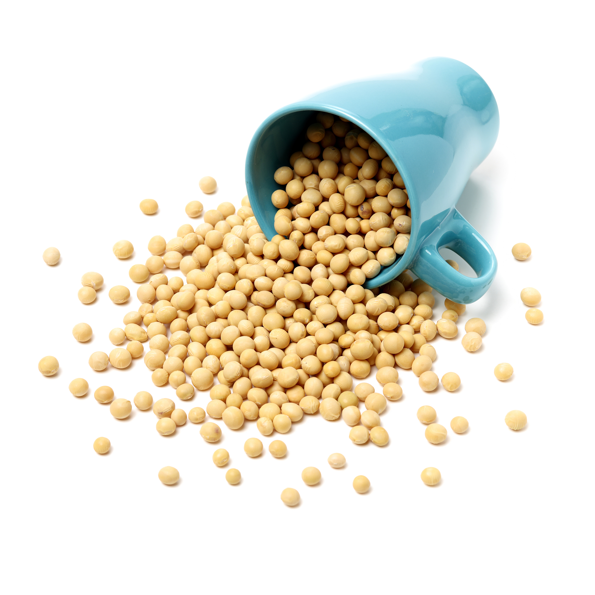 Brazilian Soybeans: Description, Characteristics & Uses
