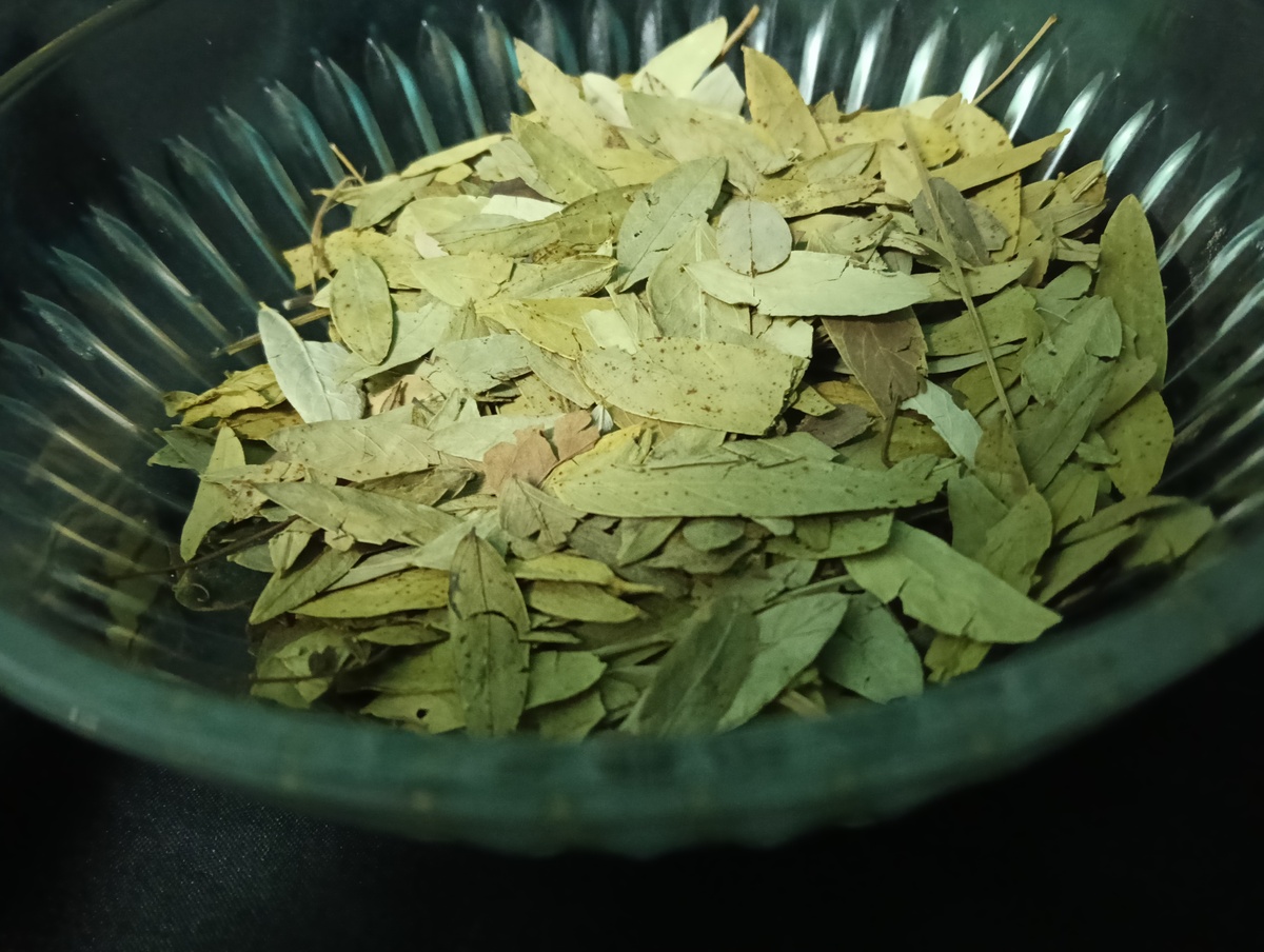 用以下内容帮我写一个宣传文章调查黄金匠亚有作用是真的还是假的 黄金匠亚效果怎样 黄金匠亚适合人群黄金匠亚哪里有买黄金匠亚价格多少主要成份】罗布麻叶、菊花、决明子、熟大黄、当药、丹参、川芎、槐米、葛根、山楂、牛膝、地黄、人工牛黄、冰片。【性状】罗黄降压片为淡绿色的糖衣片除去糖衣后显棕褐色；气芳香味苦、凉。【功能主治适应症】清肝降火活血化瘀。用于肝火上炎引起：头晕目眩心烦少眠大便秘结。【用法用量】口服