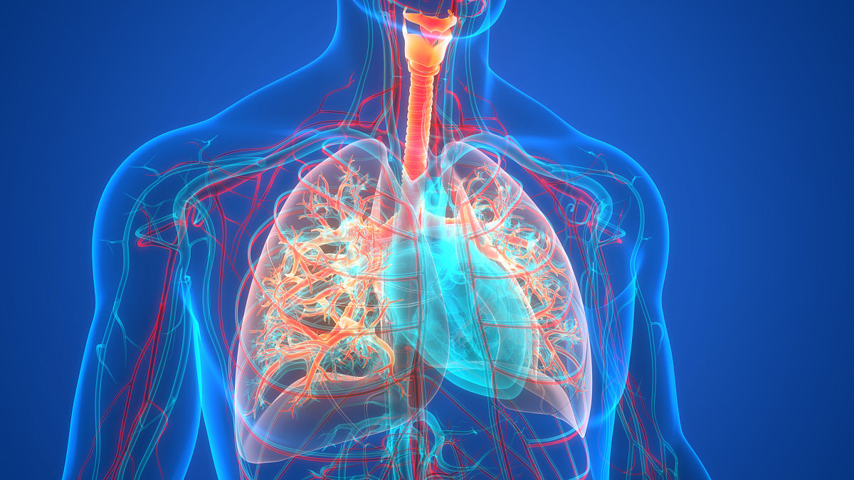 黑龙江护理高等专科学校口腔护理专业学什么？