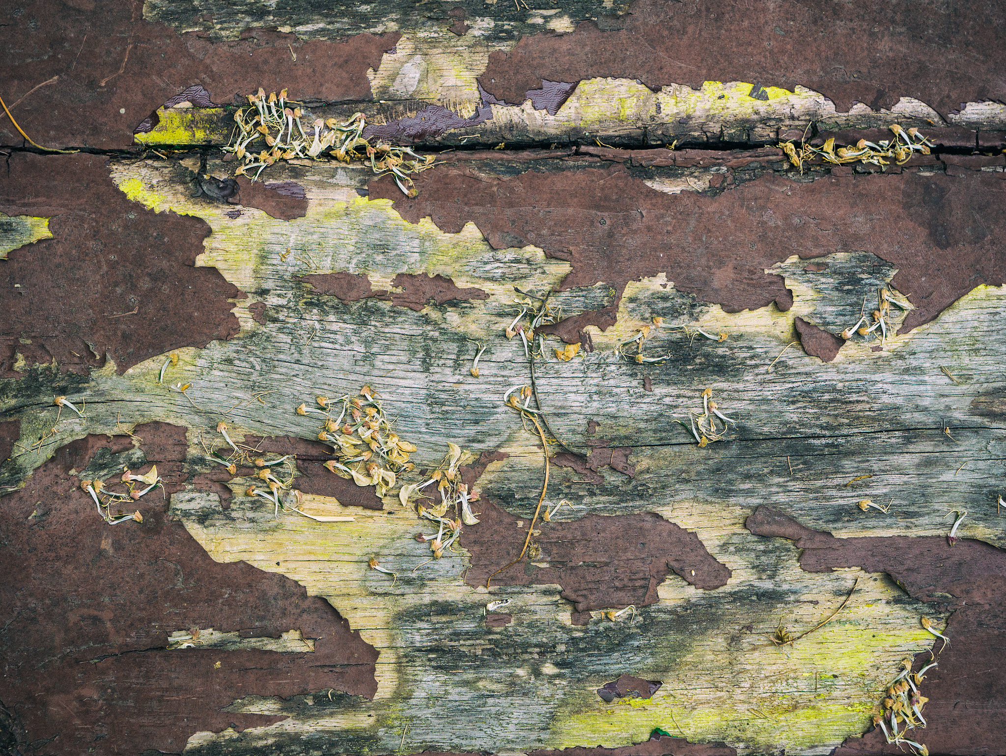 texture of an old wooden wall. background