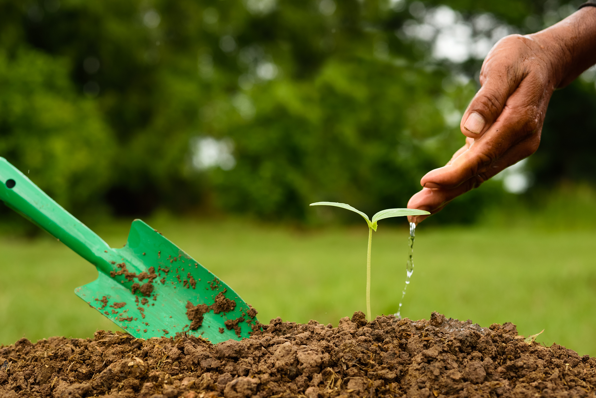 土壤学实习感想：深入了解土壤的重要性与保护