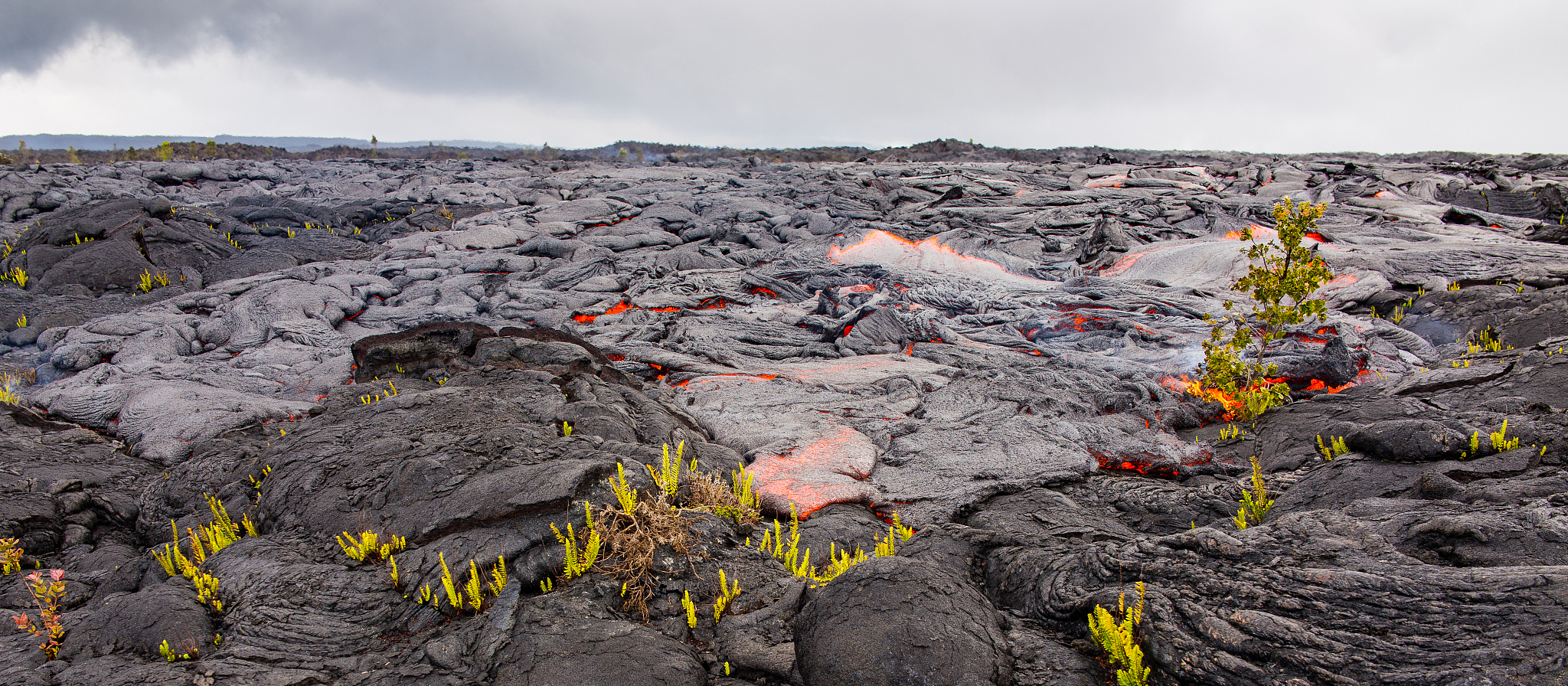 请帮忙把这句话翻译成中文：Since fire has the potential to con- vert tundra to a reburn-prone landscape in the future the lack of field observations on smaller and repeated tundra fires limits our under- standing o