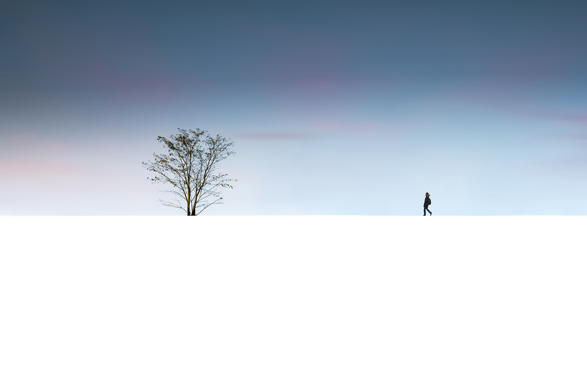 高级孤独：与孤独对话，遇见更真实的自己