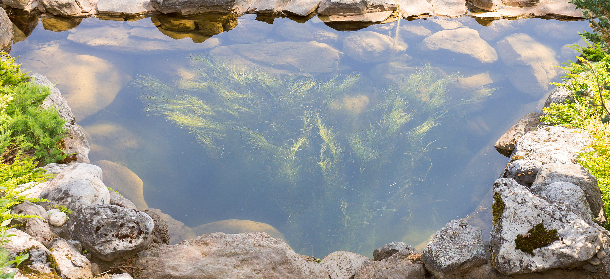 clear water
