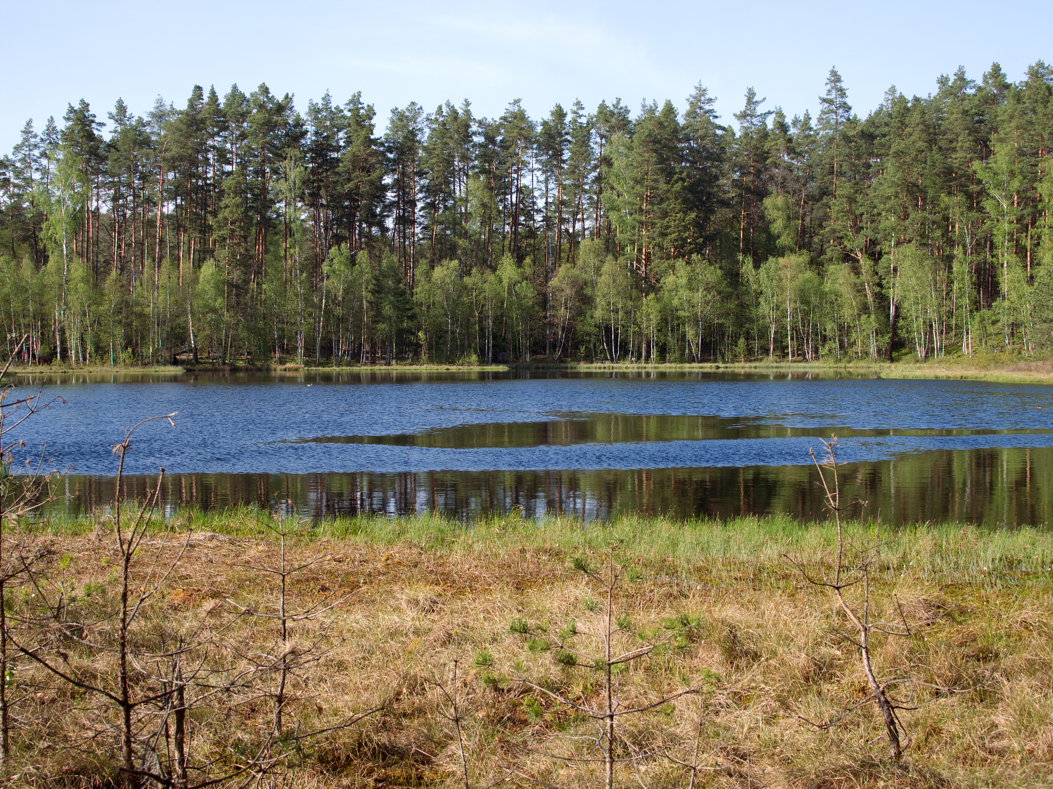 齐齐哈尔林业学校湿地与自然保护区管理专业介绍 - 湿地保护专业人才培养基地