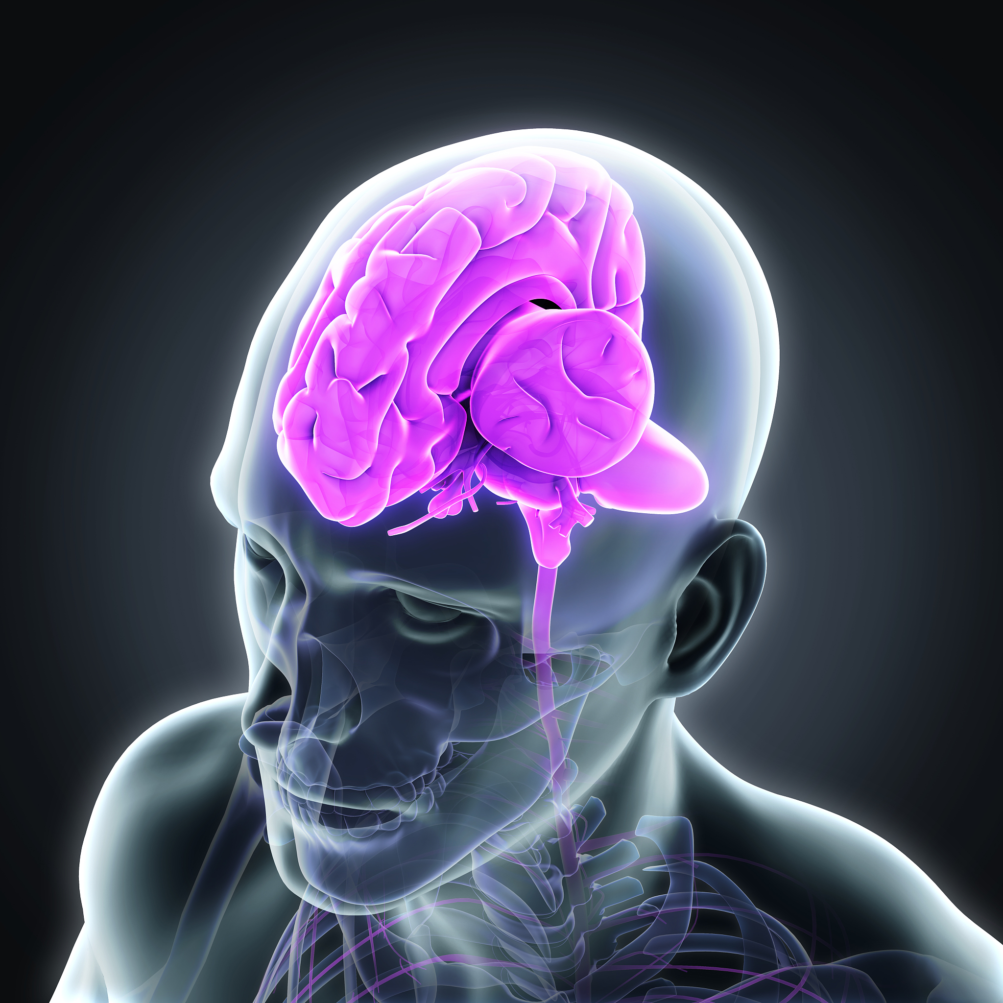 4【单选题】通过裂脑人研究来揭示大脑两半球功能单侧化的科学家是A布洛卡PBrocaB拉什利KSLashleyc斯佩里RSperryD威尔尼克C Wernicke