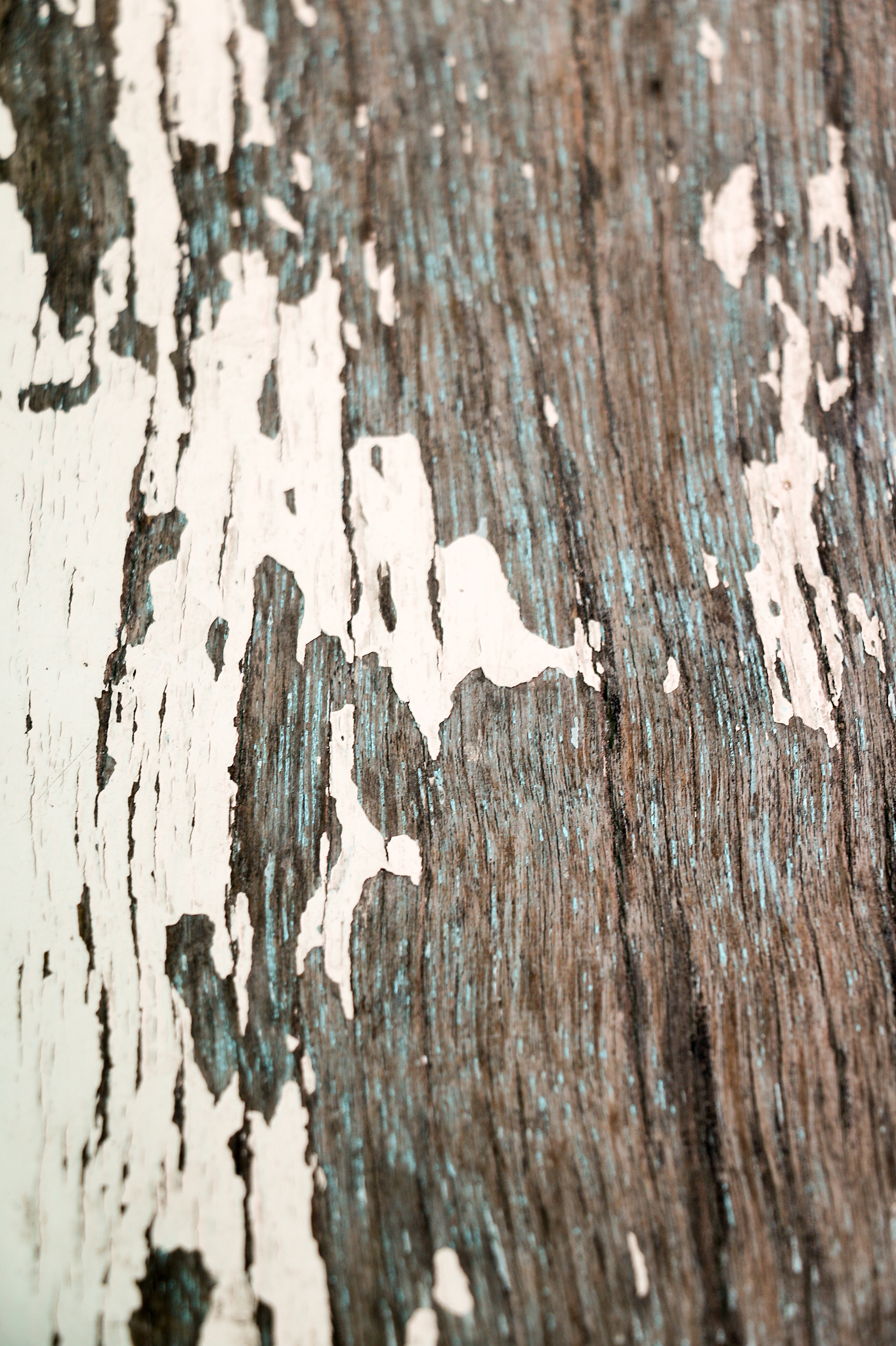 成都大学是211吗