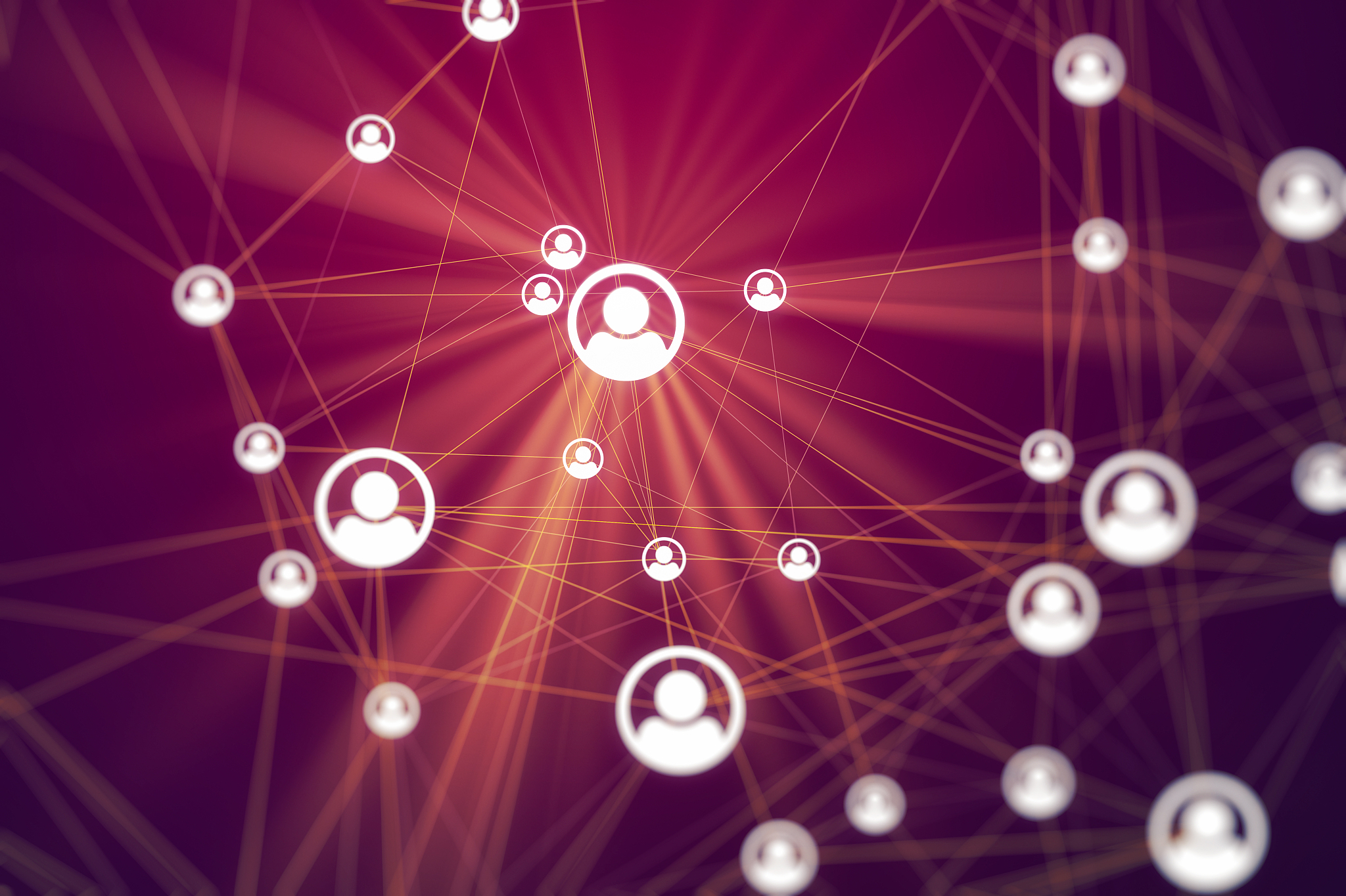 social connection networking
