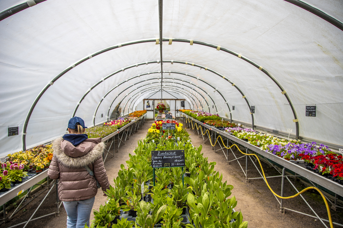 花卉智能培育技术现状与发展趋势：自动化、生态化、精准化、多样化