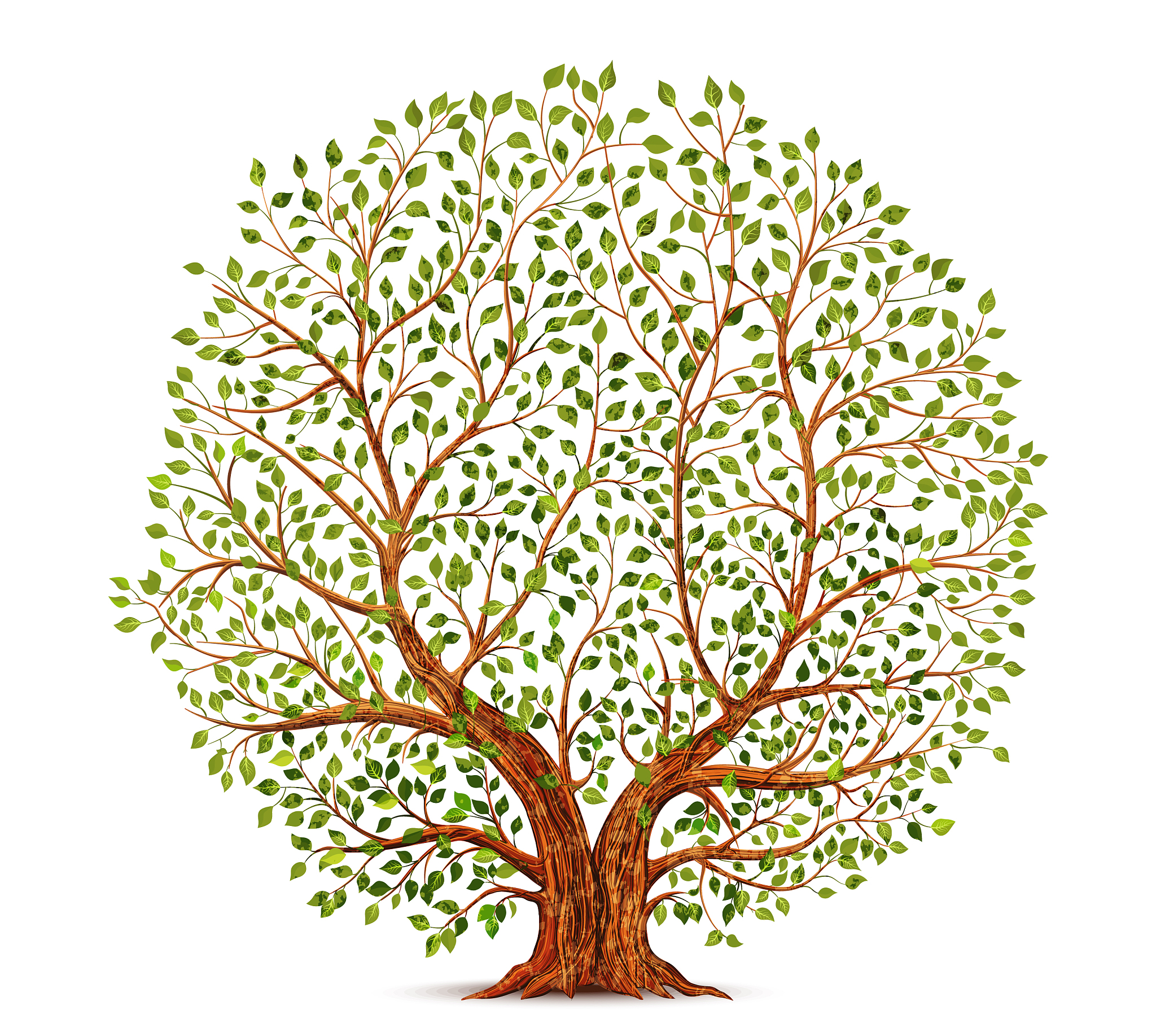 old tree