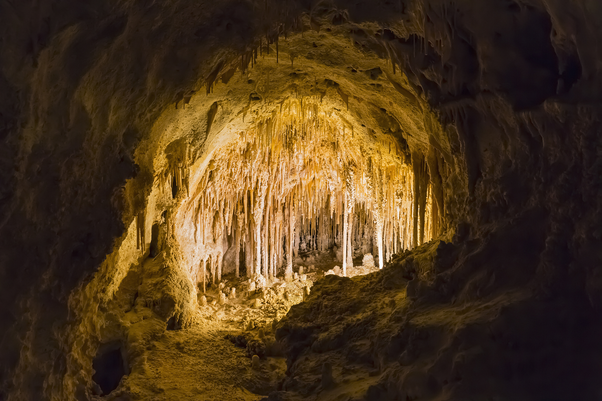 usa, new mexico, carlsbad caverns, big room