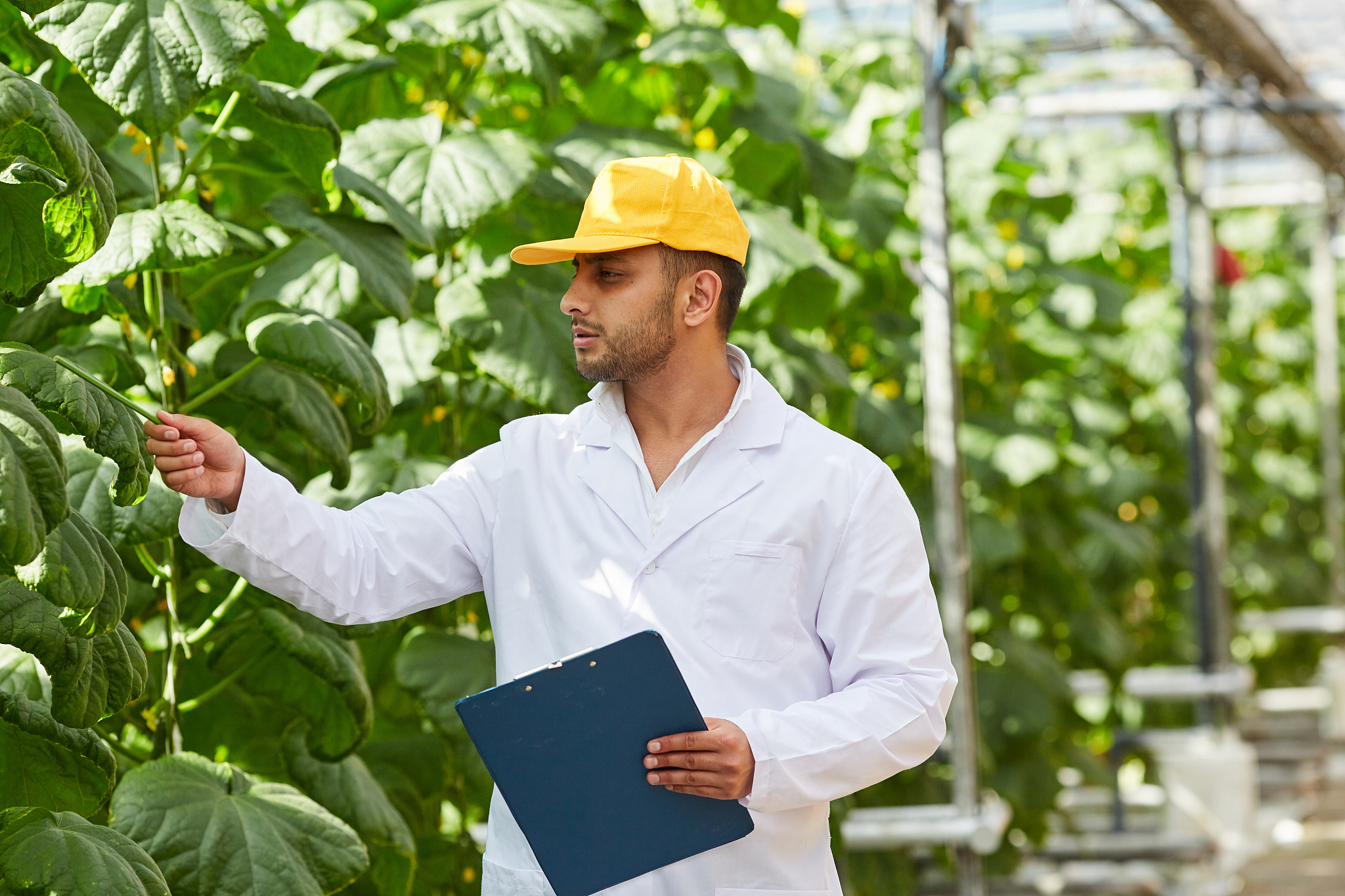西北农林科技大学环境科学专业：课程介绍及学习方向