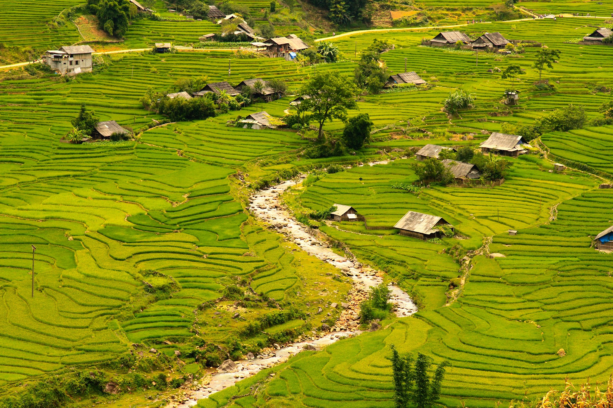 曲靖市农业职业学校2019年五年制大专热门招生专业