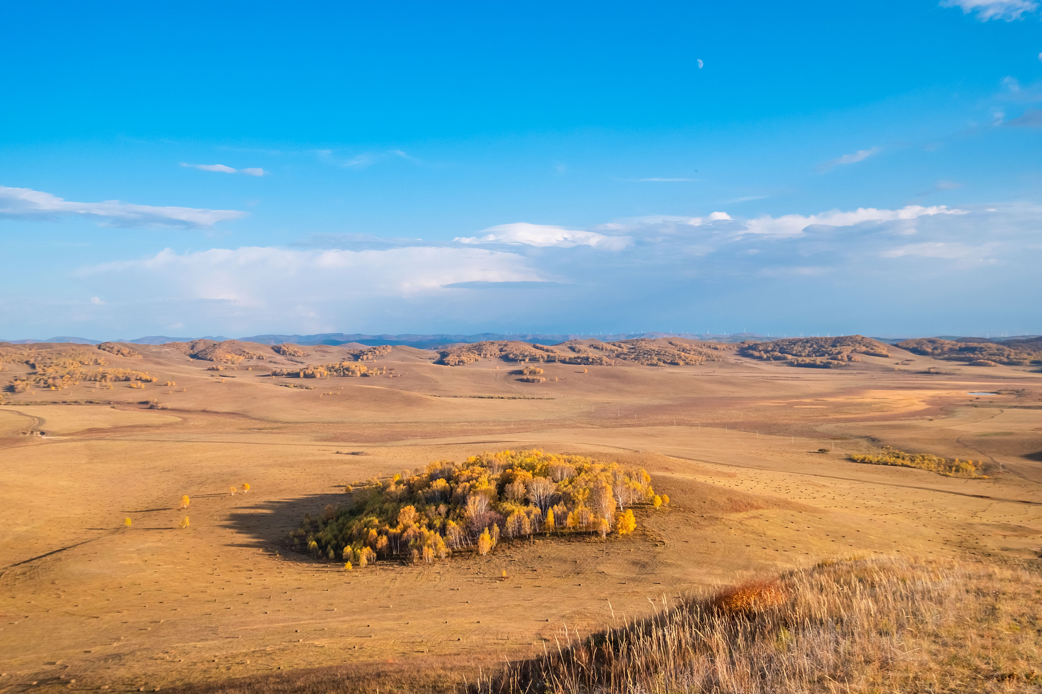 内蒙古一共有多少高中