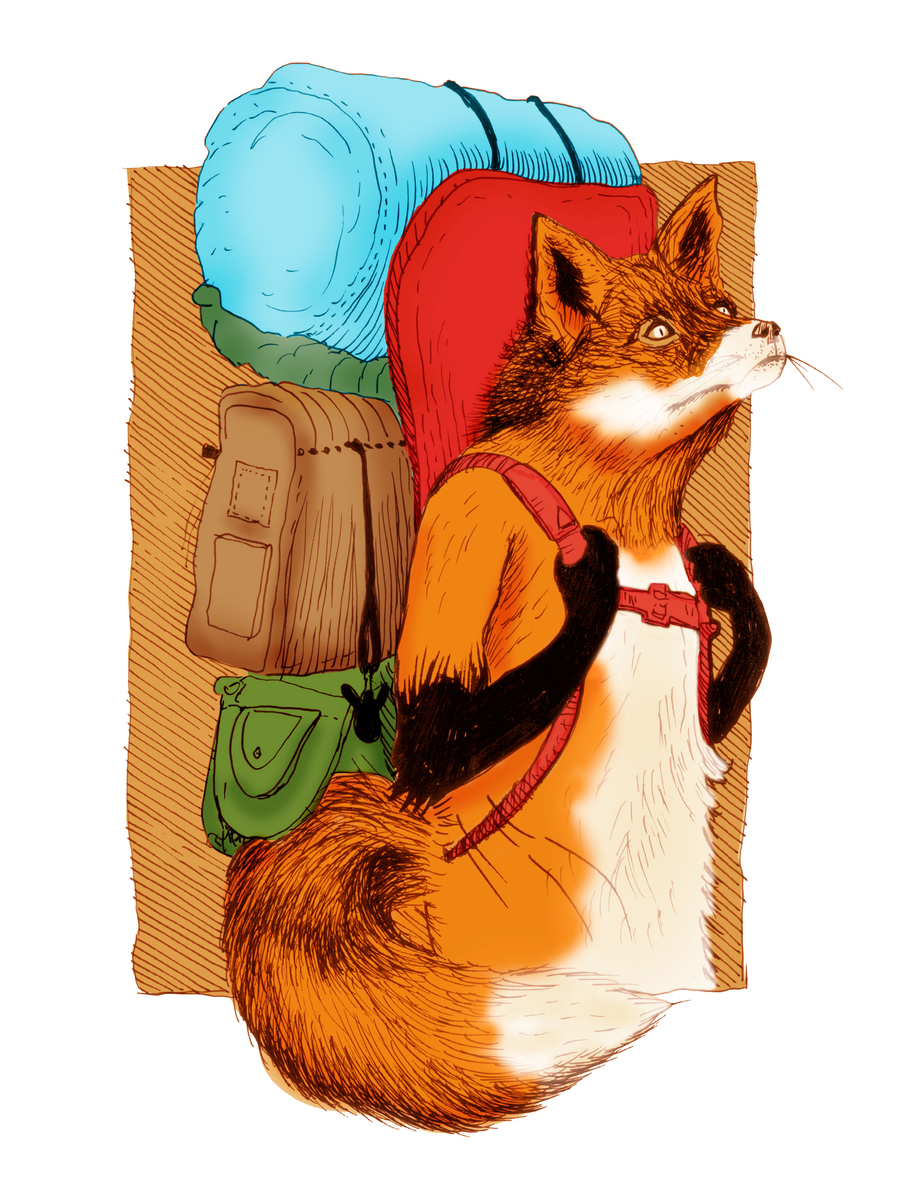 大专动漫设计专业有用吗？