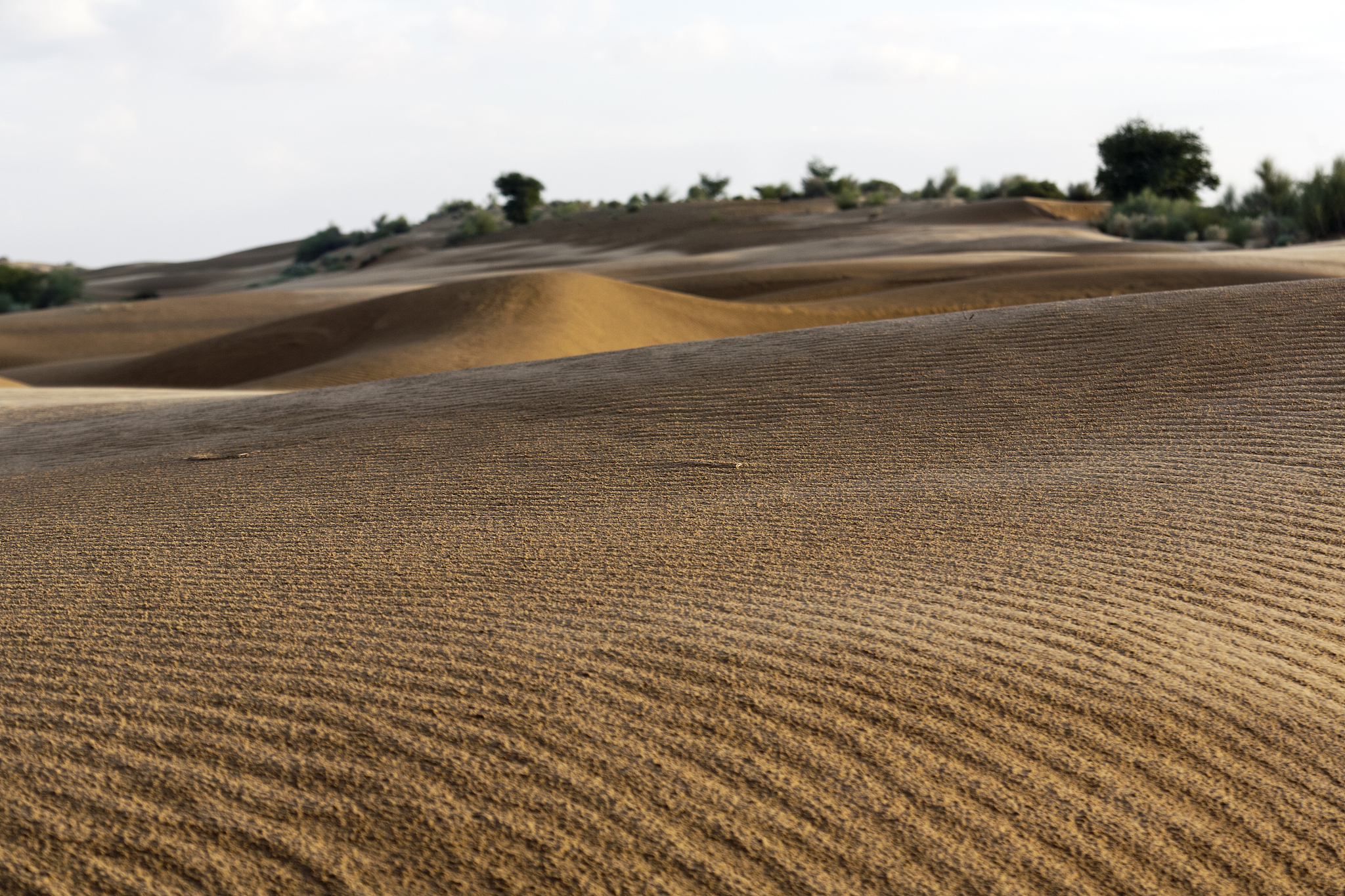 sand dunes