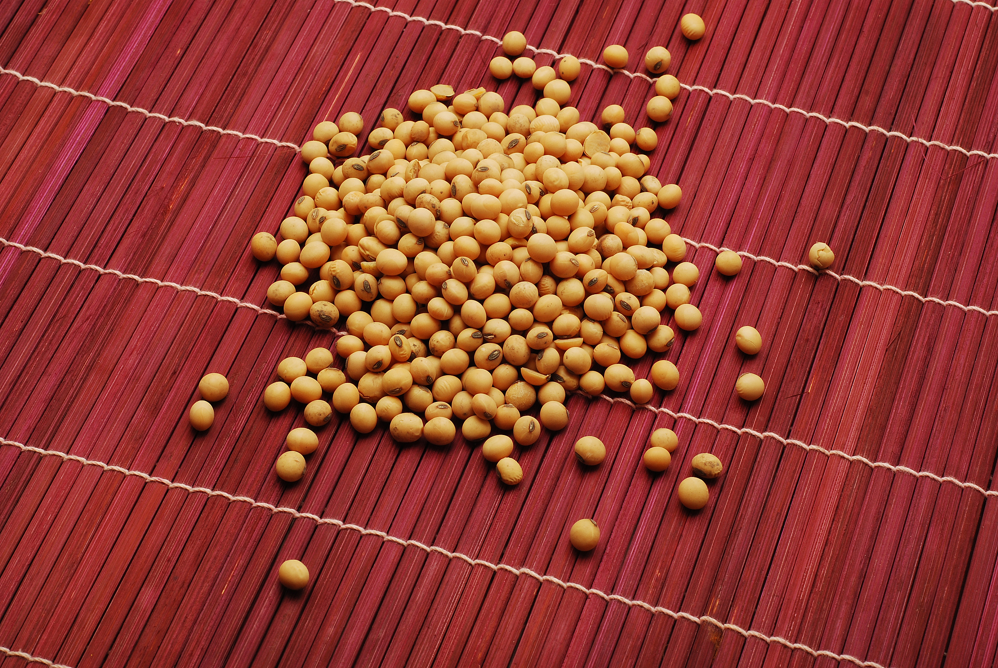 大豆货物发霉原因分析：高含水量导致微生物繁殖