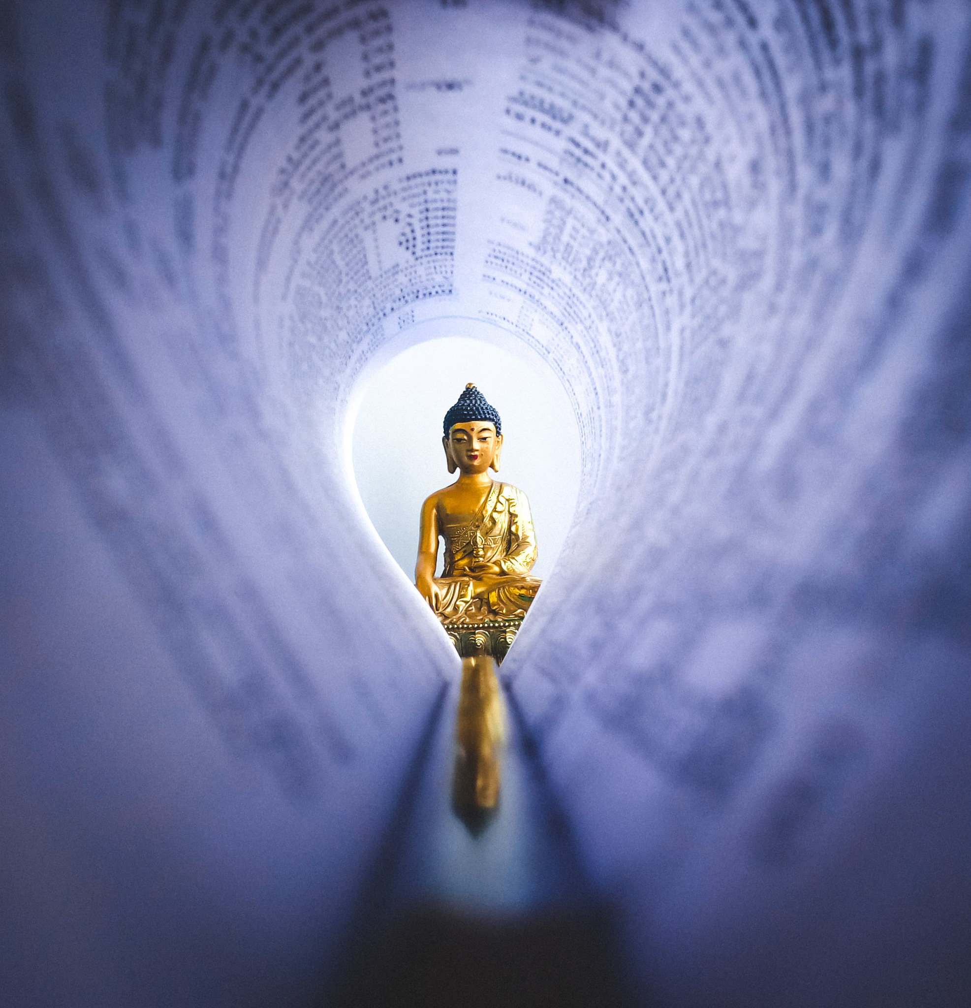 幻化：形态变化与神秘现象的探索