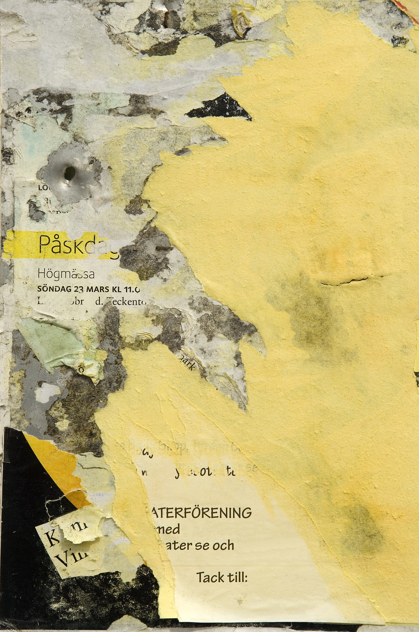 How First Nations Artists Challenge Western Research Methods: Rebecca Belmore's 'Vigil'