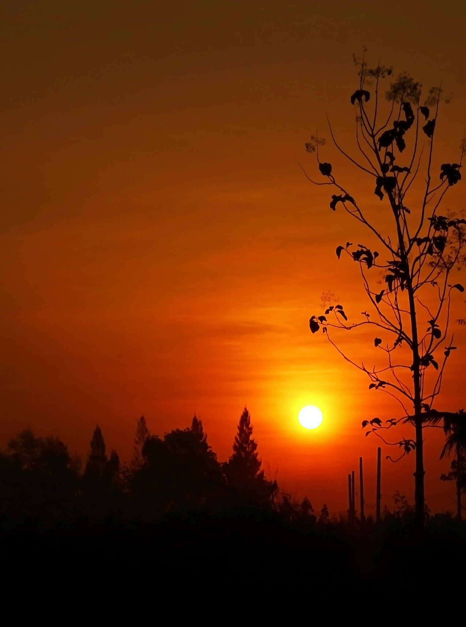 日落古诗：西山夕照，思绪万千