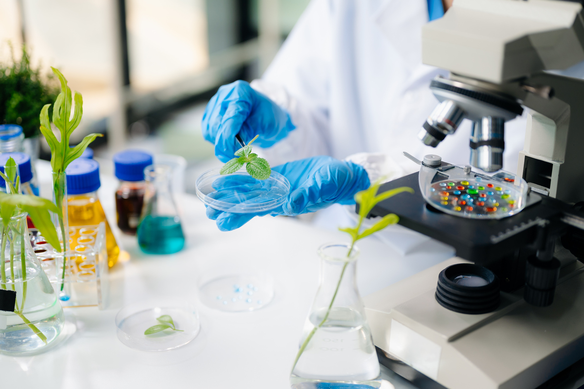 生物材料：医学领域的创新解决方案