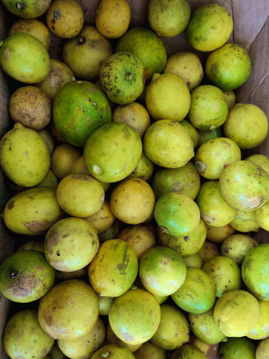 青梅和杏子区别大揭秘：外观、口感、味道全面解析