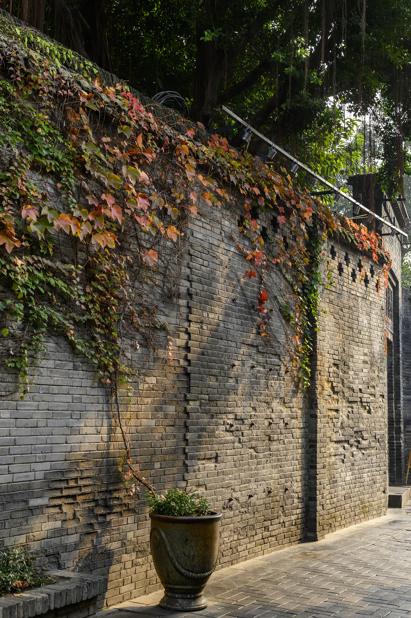 成都护理学校就业前景排名:2023年成都哪些护理学校好就业？